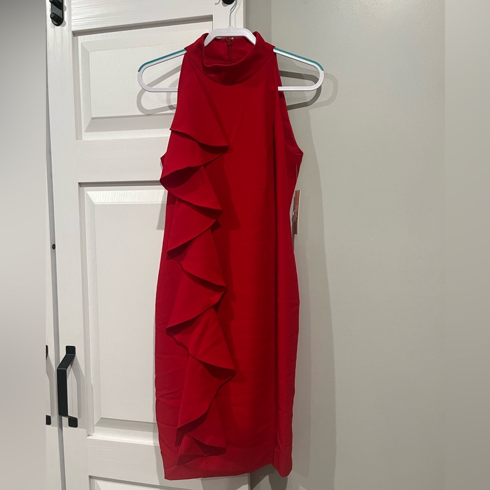 Eliza J Dress Size 10